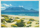 Table Mountain From Blouberg Strand With Wild Flowers ,Cape Town - (South Africa) - Zuid-Afrika