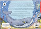 Joli Livre + CD Debbie Campbell (compositrice), Ocean Commotion, Ill. Par Tim Stevens, WWF, Novello Publ., Londres, 1996 - Altri & Non Classificati
