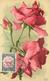 KLEIN CATHARINA (illustrateur) -  Fleurs Rose Rouges, Carte Maximum. - Klein, Catharina