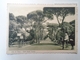 D161415   Italia  -   ROMA -  Lido Di Roma - Viale  Castel Fusano -  Animata Ca 1930's - Altri & Non Classificati