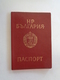 Bulgaria,Passport,Reisepass 1989 - Historical Documents