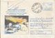 73422- WHALE, POLAR BEAR, NORTHERN LIGHTS, ARCTIC WILDLIFE, REGISTERED COVER STATIONERY, 1996, ROMANIA - Faune Arctique