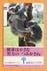 Japon Japan Free Front Bar Balken Phonecard (F) - / 110-21994 / Koala - Other & Unclassified