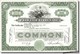Delcampe - 100 DIFFERENT ANTIQUE U.S. STOCK CERTIFICATES (1940's-1980's) In EXCELLENT CONDITION - Collections