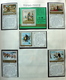 Delcampe - Beautiful Collection World,Disney,Thematics,Motiv In Importa Binder MNH/Postfris/Neuf Sans Charniere...TOP QUALITY!! - Collections (with Albums)