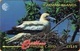 Cayman Island - GPT, CAY-11D, GPT, 11CCID, Red Footed Booby, Bird, 15$, 14,100ex, 1995, Used - Isole Caiman