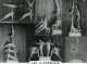 France Music Hall Cirque Artiste Acrobate Les 4 Athela's Ancienne Photo 1950 - Professions