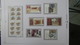 Delcampe - Grosse Collection Israël ** + Enveloppes Noël En Classeur SCHEPS Vol 5 De 2002 à 2007. Belle Qualité !!! - Collections (en Albums)