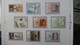 Delcampe - Grosse Collection Israël ** + Enveloppes Noël En Classeur SCHEPS Vol 5 De 2002 à 2007. Belle Qualité !!! - Collections (en Albums)