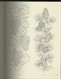 FLORAL DESIGNS AND MOTIFS FOR ARTISTS -C. TARBOX-DOVER PUBBLICATIONS NEW YORK - Decoration