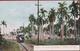 Rare Old Postcard Tarjeta Postal Cuba Camino De Guanajay Train Tren Ferrocarril Artemisa Forest Colonial Period - Cuba