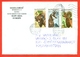 Slovakia 1996. Fauna. The Envelope Is Really Past Mail. - Covers & Documents