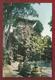 Delcampe - CN.- CHINA. IMPERIAL GARDEN In The FORMER IMPERIAL PALACES. PEKING. 10 Cards 1977. - Monumenten