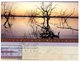(091) Australia - Wetland Maxicard (posted) - Zonder Classificatie