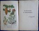 R. Guinot - Plantations Et Reboisement - Collection RUSTICA - Éditions De Montsouris - ( 1945 ) . - Garden