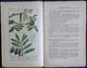 Delcampe - R. Guinot - Plantations Et Reboisement - Collection RUSTICA - Éditions De Montsouris - ( 1945 ) . - Garden