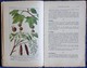 Delcampe - R. Guinot - Plantations Et Reboisement - Collection RUSTICA - Éditions De Montsouris - ( 1945 ) . - Garden