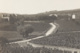 71 - POUILLY - BELLE CARTE PHOTO - VIN VIGNES - VOIR ZOOM - Autres & Non Classés