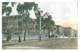 Vintage Tasmania, Hobart Macquarie Street Looking West Colour Pc Unused.McVilly & Little - Hobart