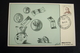 1974      MOLFETTA  FDC MOSTRA  NUMISMATICA   FIRST DAY PREMIER JOUR MAXIMUM - Monete (rappresentazioni)