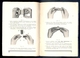 Delcampe - Leica - Leitz, Gebrauchs-anleitung Zur Leica-Kamera, Mit Kassette Model B. Original Prospect And Users Manual / 9 Scans - Altri & Non Classificati