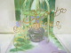 LOLITA LEMPICKA  MINI  COLLECTOR " JARDIN D'AMOUR "  LIRE ET VOIR !!! - Miniatures Femmes (avec Boite)