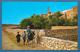 M'ZAB GHARDAIA SCENE DE BOUNOURA UNUSED - Ghardaia