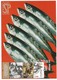 Postal Máximo Industria Conserveira Portugal Olhão Algarve Peixe Poisson Fish Fisch Pescado Sardinha Sardine Fauna - Cartes-maximum (CM)