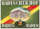 D8687 "BADISCHER HOF - BADEN BADEN - GERMANIA" ETICHETTA ORIGINALE - Hotel Labels