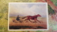 HORSE IN ART  - Old Art  Postcard  - "Mare KRASA" By SVERCHKOV- 1973 - Horse Breeding Museum Collection - Chevaux