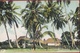 Cuba Isla De Pinos Coco Cocoa Nut Palms Native Homes Caserio Colonial Period Rare Old Postcard Tarjeta Postal - Cuba