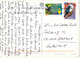 South Africa Postcard Fish Eagle South Africa Sent To Switzerland 28-10-2003 (Weak Bended Corner) - South Africa