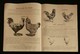 ( Elevage Poules ) Ets D'AVICULTURE ROULLIER-ARNOULT Georges POINSOT à GAMBAIS ( Yvelines ) 1924 CATALOGUE - Agriculture