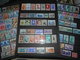 Collection, Trieste Lot De 120 Timbres Neuf - Collezioni (senza Album)