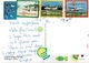 23A : France Tahiti Airplane Stamps Used On Fish Postcard - Covers & Documents