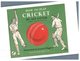 (374) How To Play Cricket - Cricket