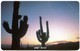 AR-TLC-URM-0007 - Jujuy - Two Cactus At Sunset (MINT) - Argentina