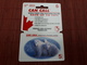 Prepaidcard Can Call Bear Used Rare 2 Scans - Autres & Non Classés