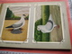 Delcampe - Full Set Complete 24 Cards TAUBEN Duiven Pigeons - 2 ALBUMS Conserven Fabriek TAMINIAUX - ELST Hollandse Tuimelaar E.a. - Other & Unclassified