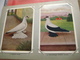 Delcampe - Full Set Complete 24 Cards TAUBEN Duiven Pigeons - 2 ALBUMS Conserven Fabriek TAMINIAUX - ELST Hollandse Tuimelaar E.a. - Other & Unclassified