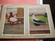 Delcampe - Full Set Complete 24 Cards TAUBEN Duiven Pigeons - 2 ALBUMS Conserven Fabriek TAMINIAUX - ELST Hollandse Tuimelaar E.a. - Other & Unclassified