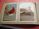 Delcampe - Full Set Complete 24 Cards TAUBEN Duiven Pigeons - 2 ALBUMS Conserven Fabriek TAMINIAUX - ELST Hollandse Tuimelaar E.a. - Other & Unclassified