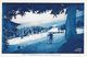 Les Sports D'Hiver - Ski De Randonnée: Piste De Skieurs En Forêt - Carte GEP Cyan N° 4855.6 - Sports D'hiver