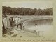 Hécatombe De Poissons à La Pièce D'eau Des Suisses Du Château De Versailles En été. 3 Citrates Vers 1900. Pêche. - Lieux