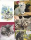 Delcampe - Lot De 36 Cartes -Thème ; Les Chats Et Chatons - Chats