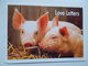 Edit. Feeling : LOVE LETTERS - Pigs