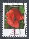 Germany 2006. Scott #2326A (U) Flower's Klatschmohn (Red Poppy) * - Oblitérés