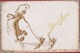 Fantasiekaart Carte Fantaisie 1904 Jugendstil Art Nouveau Doree Gaufree Goldprint Ange Engel Angels CPA Old Postcard - Anges