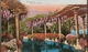 Italy & Marcofilia, Bordighera, Winter Gardens, Giardino Winter, Hotel Jolanda, Dublin Ireland 1929 (5757) - Storia Postale