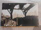 CPA Photo  Guerre14-18 1wk Ww1 Wk1 Feldpost Militaria Stempel Cachet #656634286 - Guerre 1914-18